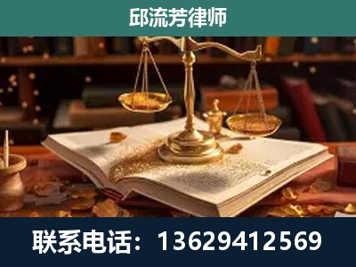 东川-刑事案件